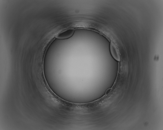 X0000096650529200802051157
