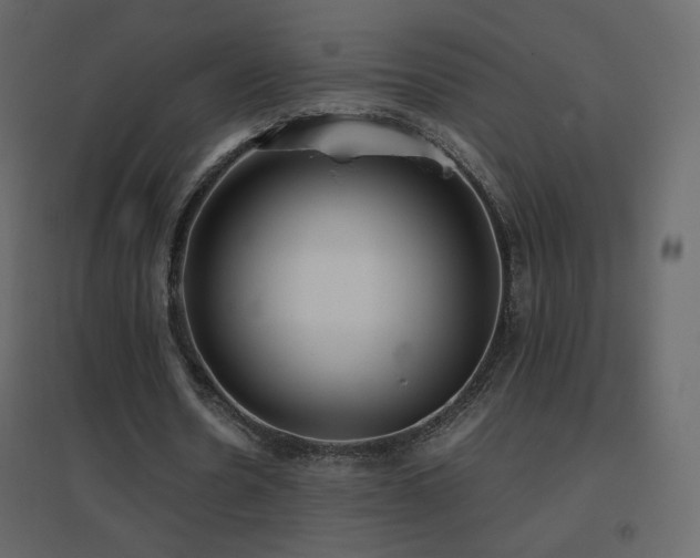 X0000096650530200802051157