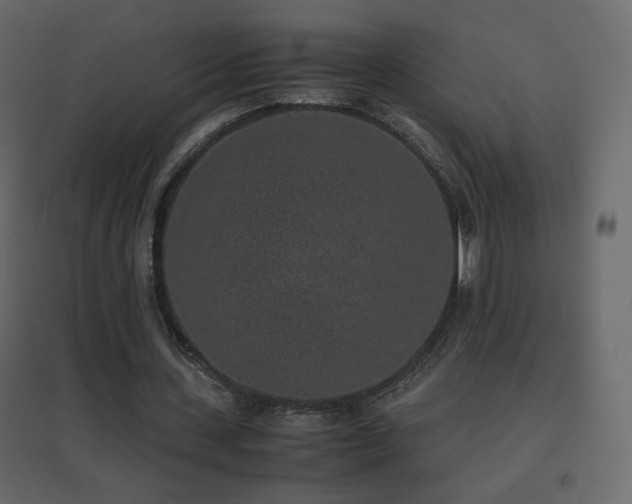 X0000096650531200802051157