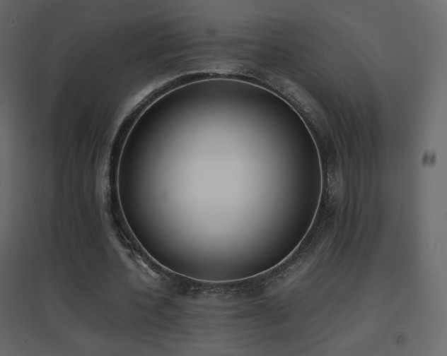 X0000096650532200802051157