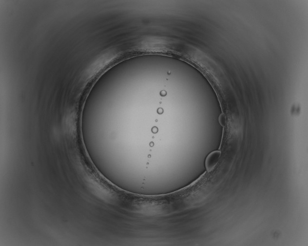 X0000096650533200802051157