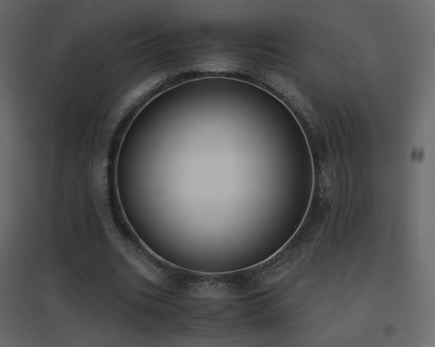 X0000096650535200802051157