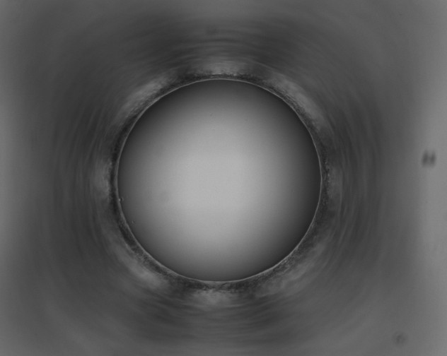 X0000096650537200802051157