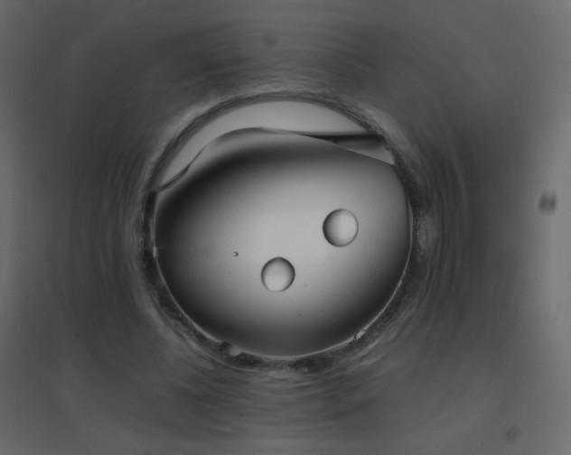 X0000096650540200802051157