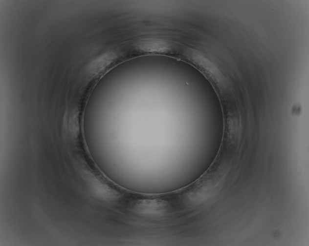 X0000096650541200802051157