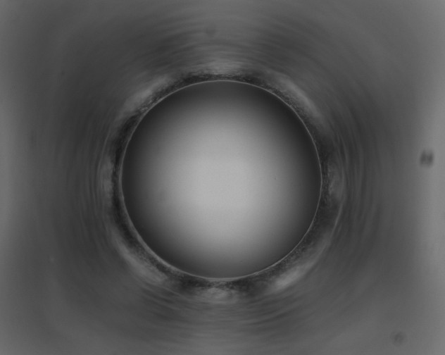 X0000096650542200802051157
