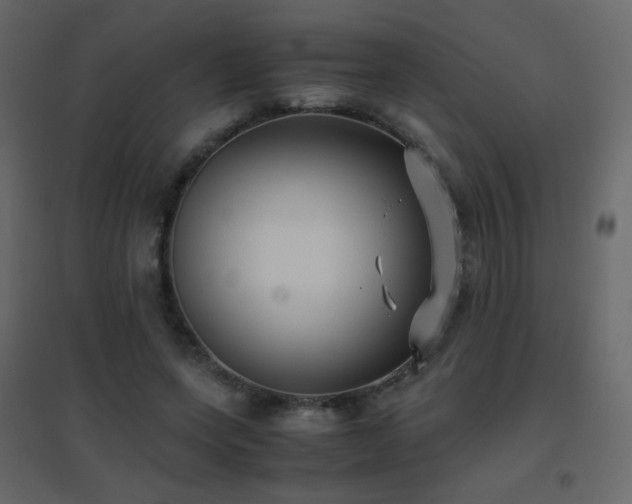 X0000096650543200802051157