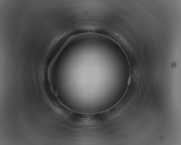 X0000096650544200802051157