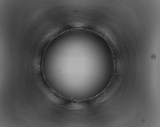 X0000096650545200802051157