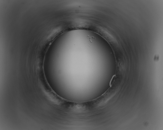 X0000096650546200802051157