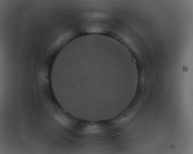 X0000096650547200802051157