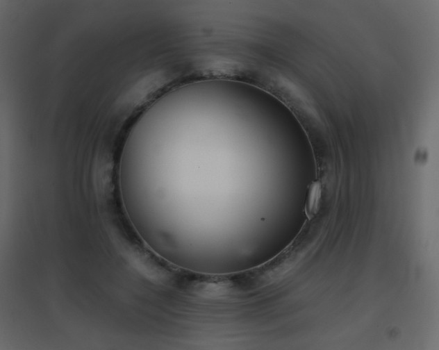 X0000096650548200802051157