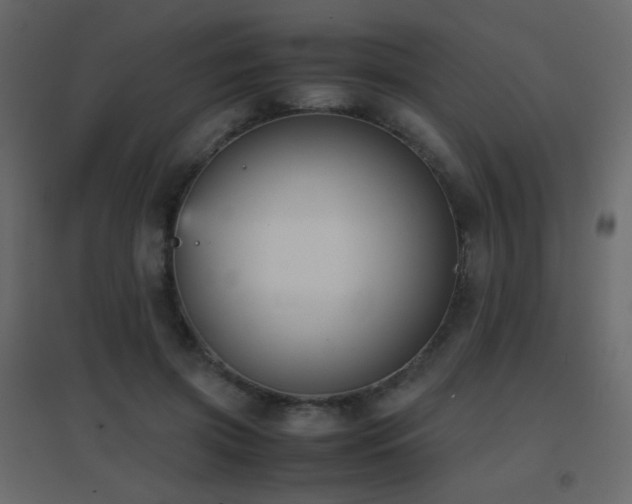 X0000096650549200802051157