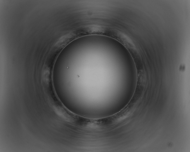 X0000096650550200802051157