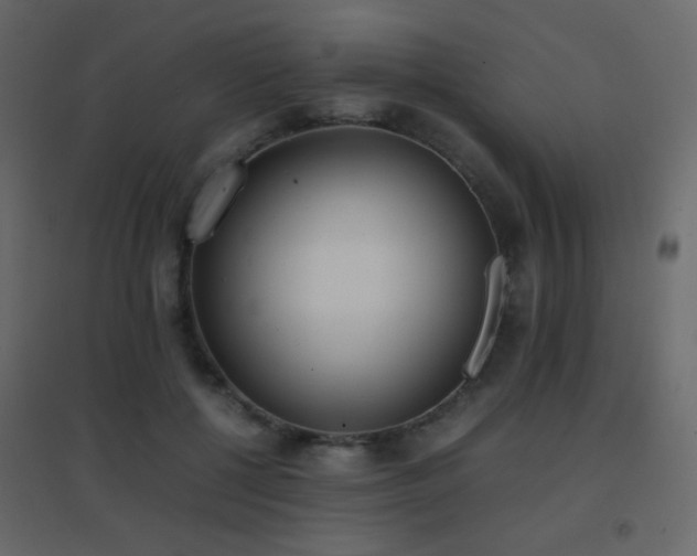 X0000096650552200802051157