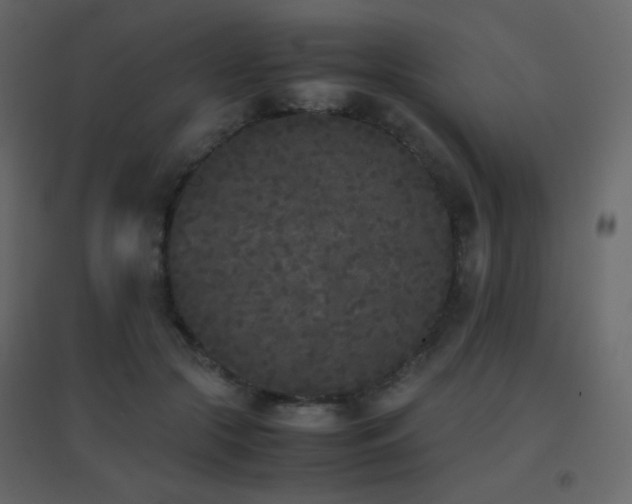 X0000096650553200802051157
