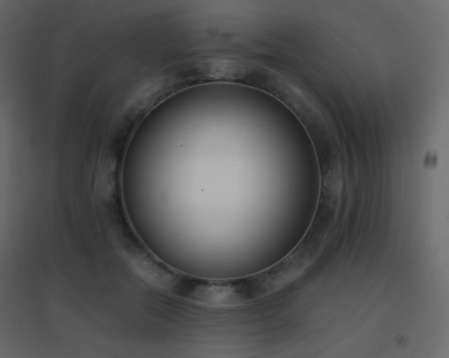 X0000096650554200802051157