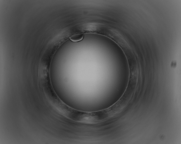 X0000096650555200802051157
