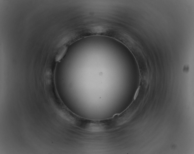 X0000096650556200802051157