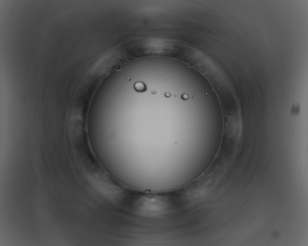 X0000096650557200802051157