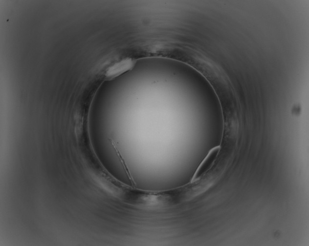 X0000096650558200802051157