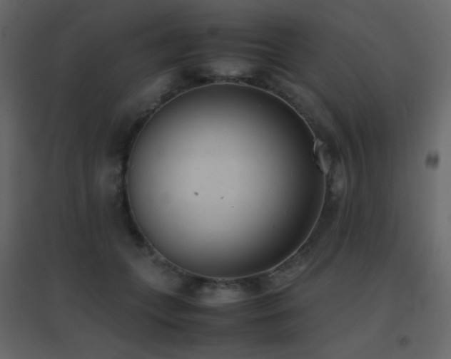 X0000096650559200802051157