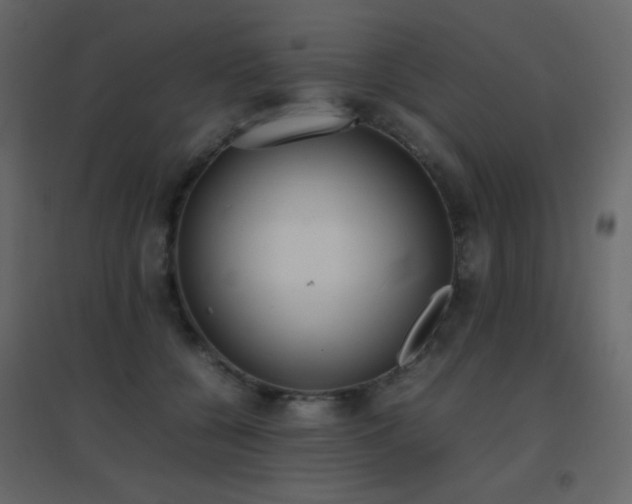 X0000096650560200802051157