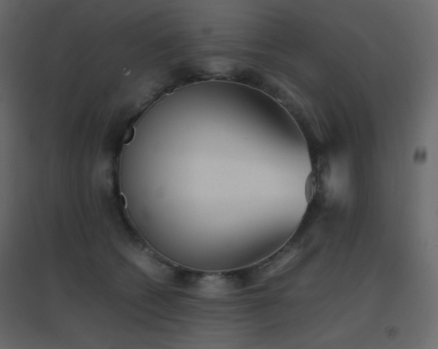 X0000096650562200802051157