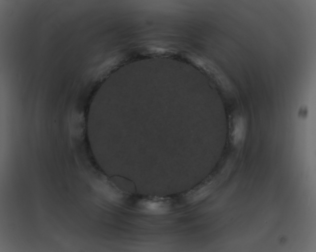 X0000096650563200802051157