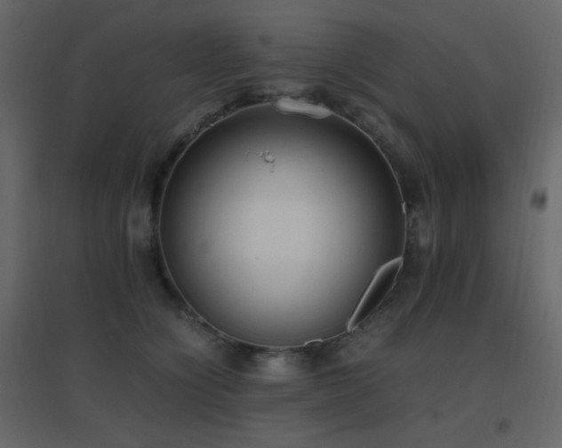 X0000096650564200802051157