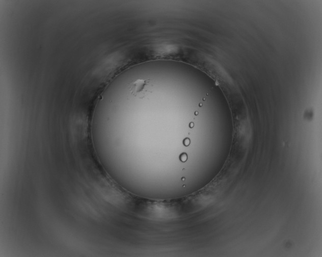 X0000096650565200802051157