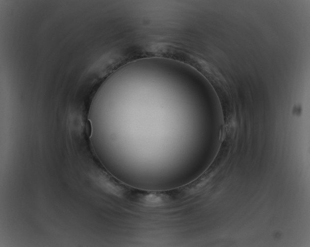 X0000096650566200802051157
