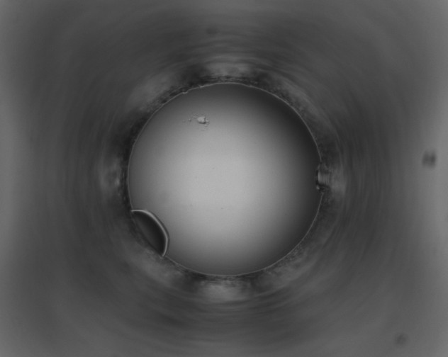 X0000096650567200802051157