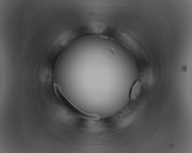X0000096650568200802051157