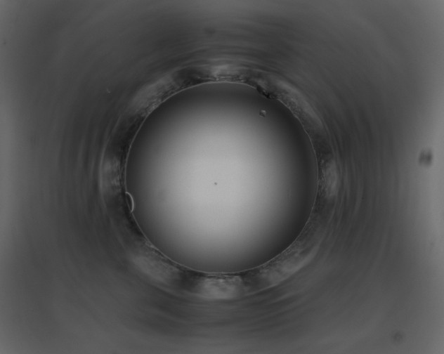 X0000096650571200802051157