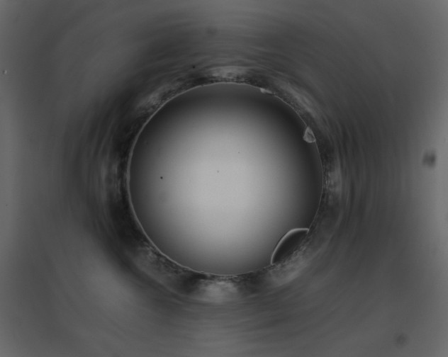 X0000096650572200802051157