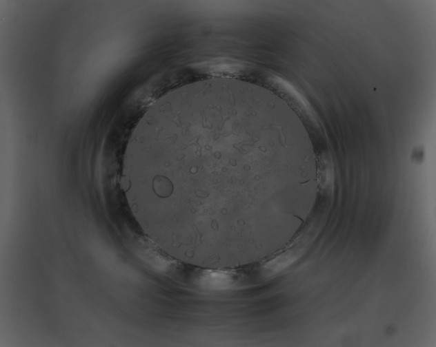 X0000096650573200802051158