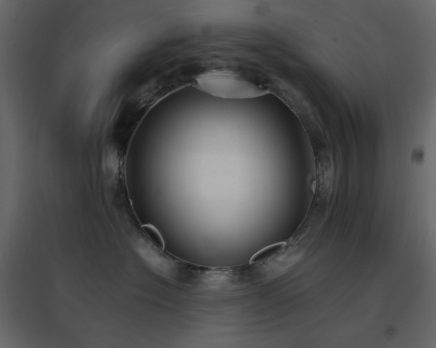 X0000096650574200802051158