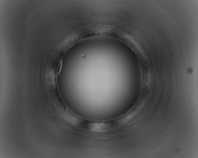 X0000096650575200802051158