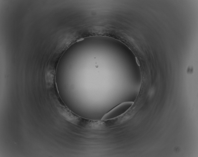 X0000096650576200802051158