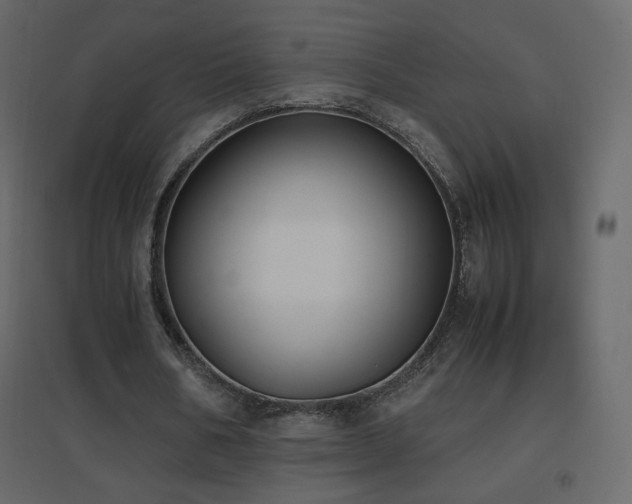 X0000096650578200802051157