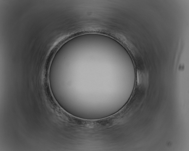 X0000096650579200802051157