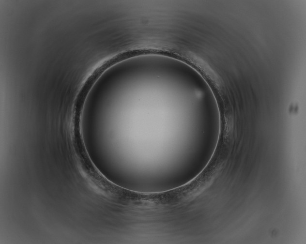 X0000096650580200802051157