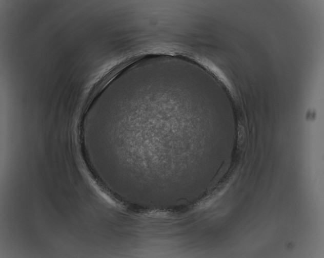 X0000096650581200802051157