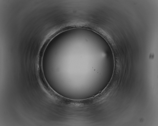 X0000096650582200802051157