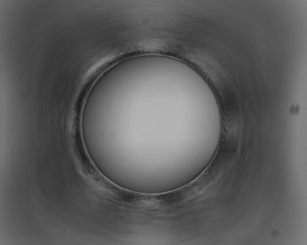 X0000096650583200802051157