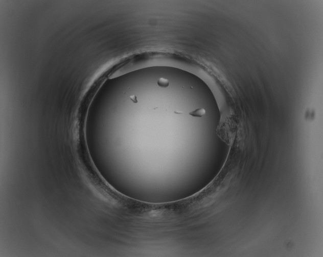 X0000096650584200802051157