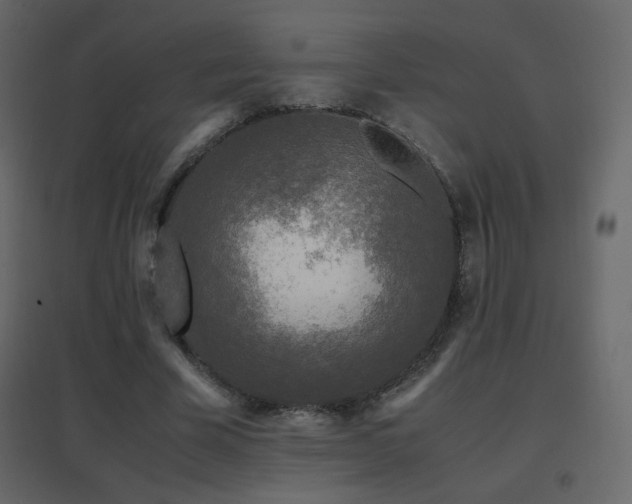 X0000096650585200802051157