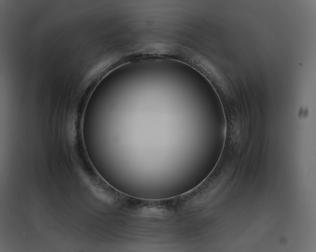 X0000096650586200802051157