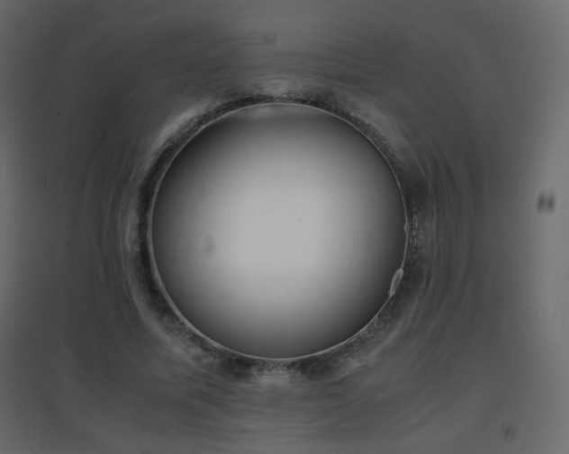 X0000096650587200802051157